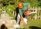 Home Owner Tree Surgeon Services