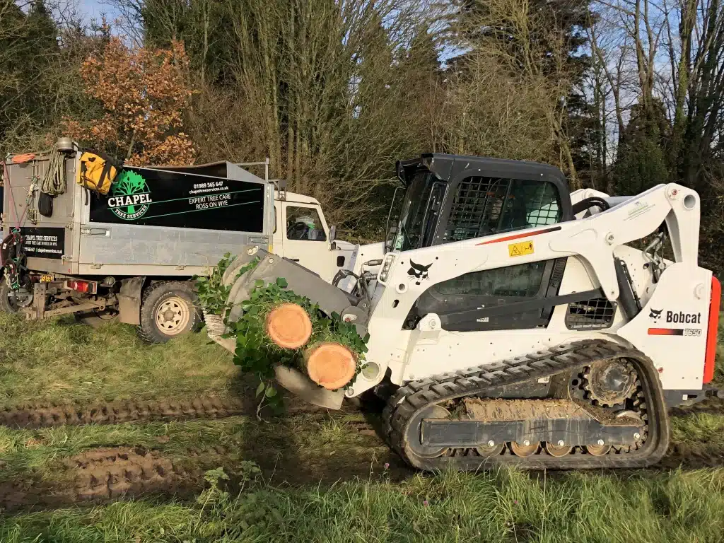 Log carriers and truck