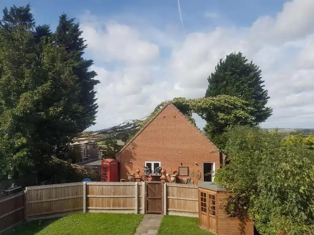 Tree emergencies - fallen tree on house