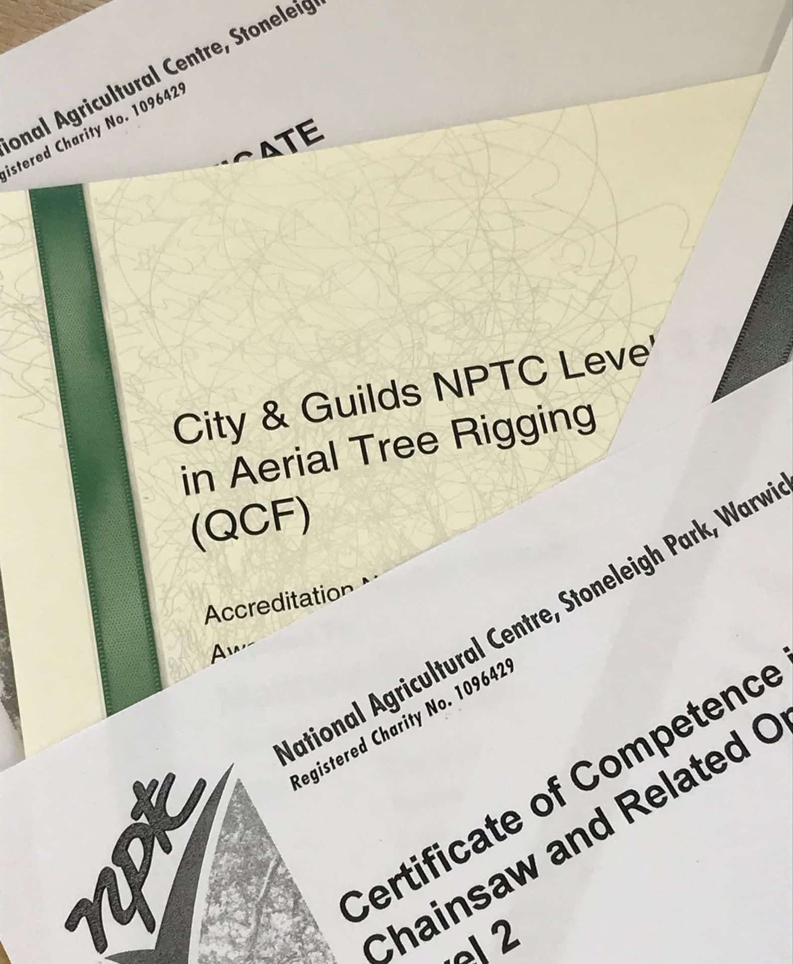 What We Do Our Services Chapel Tree Services