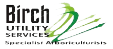 Birch Logo Full Colour Birch Logo full colur with transparency