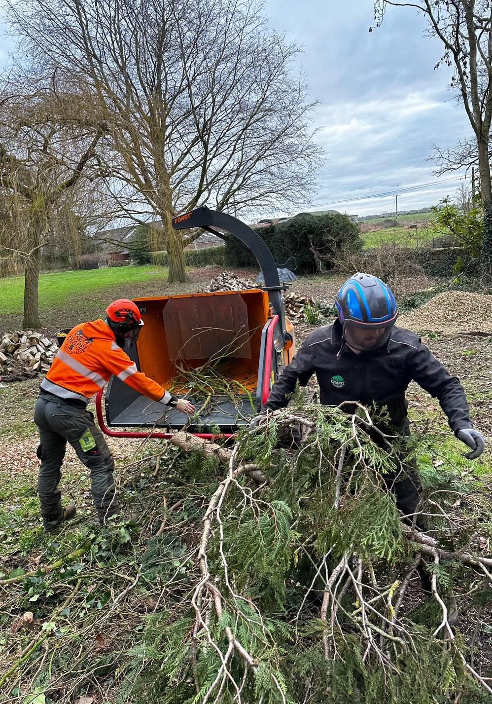 Bird Nesting Season - careful vegetation work