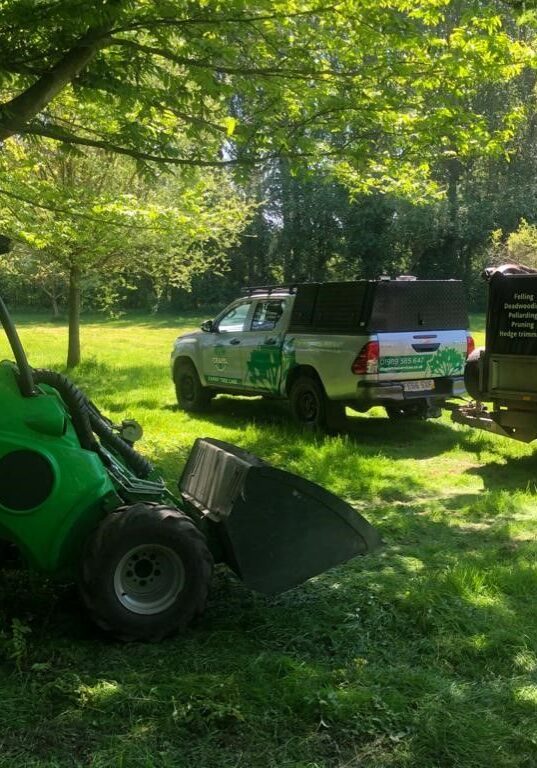 Chapel Tree Site Clearance