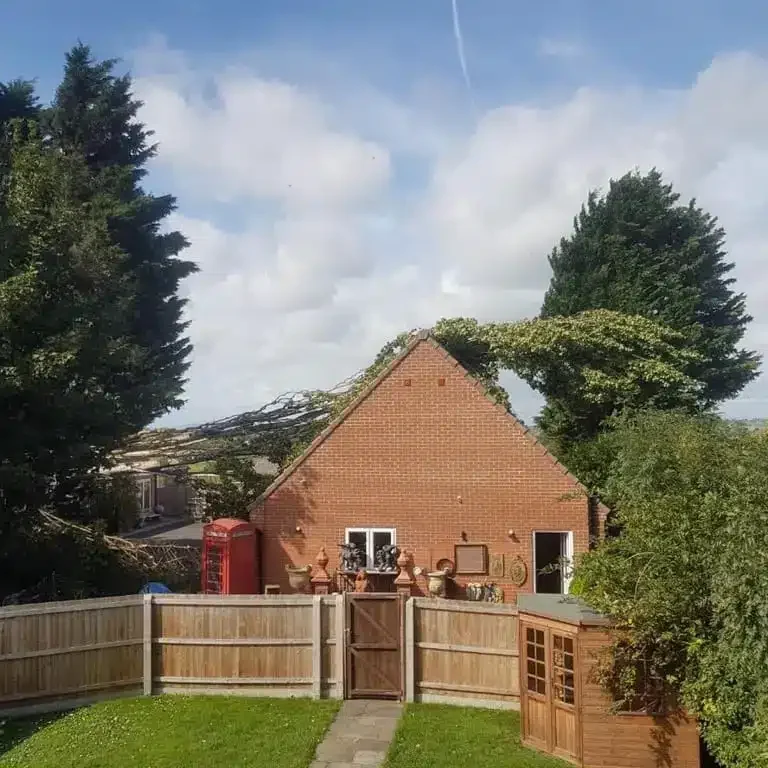 Tree emergencies - fallen tree on house